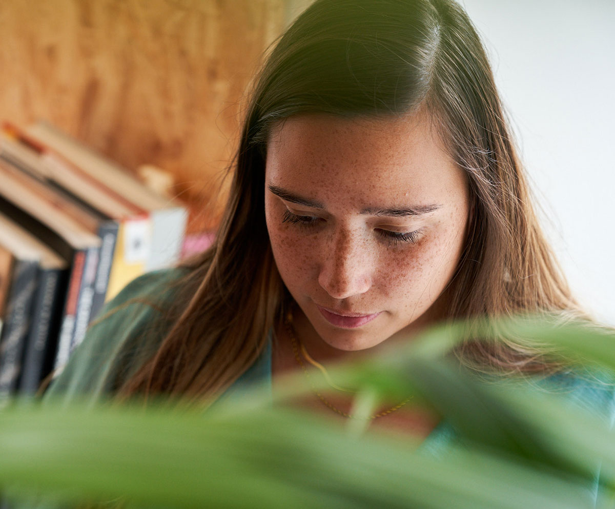 En bokhylla med olika böcker i bakgrunden och gröna blad i förgrunden.